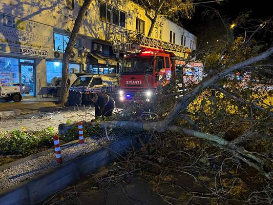 Antalya'da Hortum ve Kuvvetli Sağanak Seralara Zarar Verdi